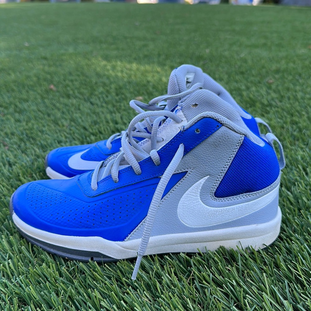 Nike Dunk type high tops